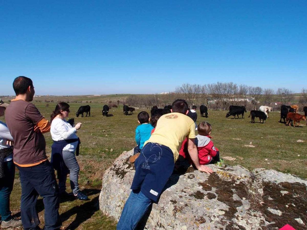 Agroturismo El Mirador de la Cigüeña Cabanillas del Monte Exterior foto